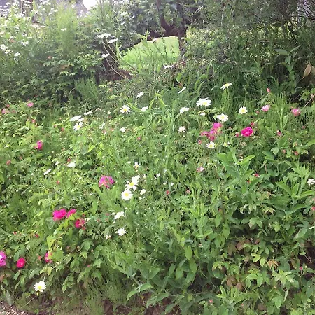 L'orchard Bed & Breakfast