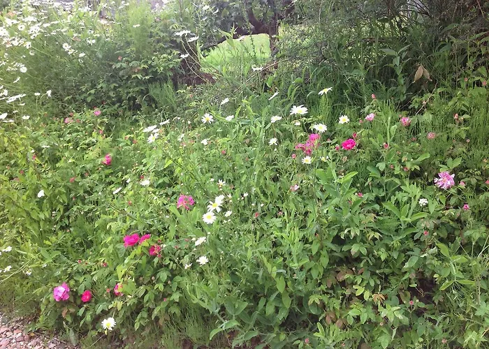 L'orchard לינה וארוחת בוקר