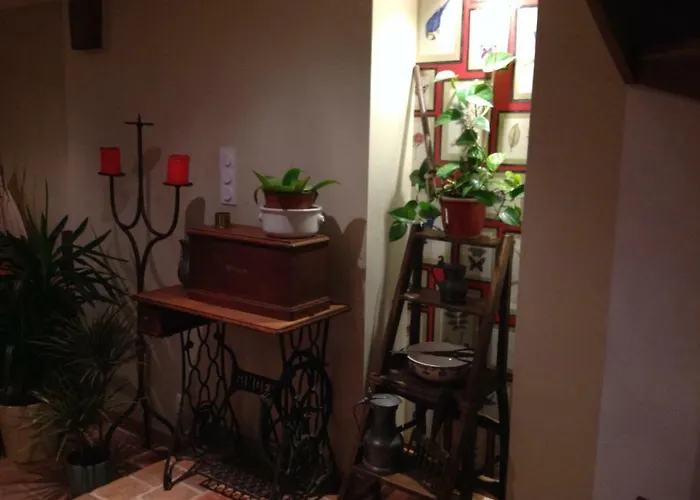 לינה וארוחת בוקר L'orchard